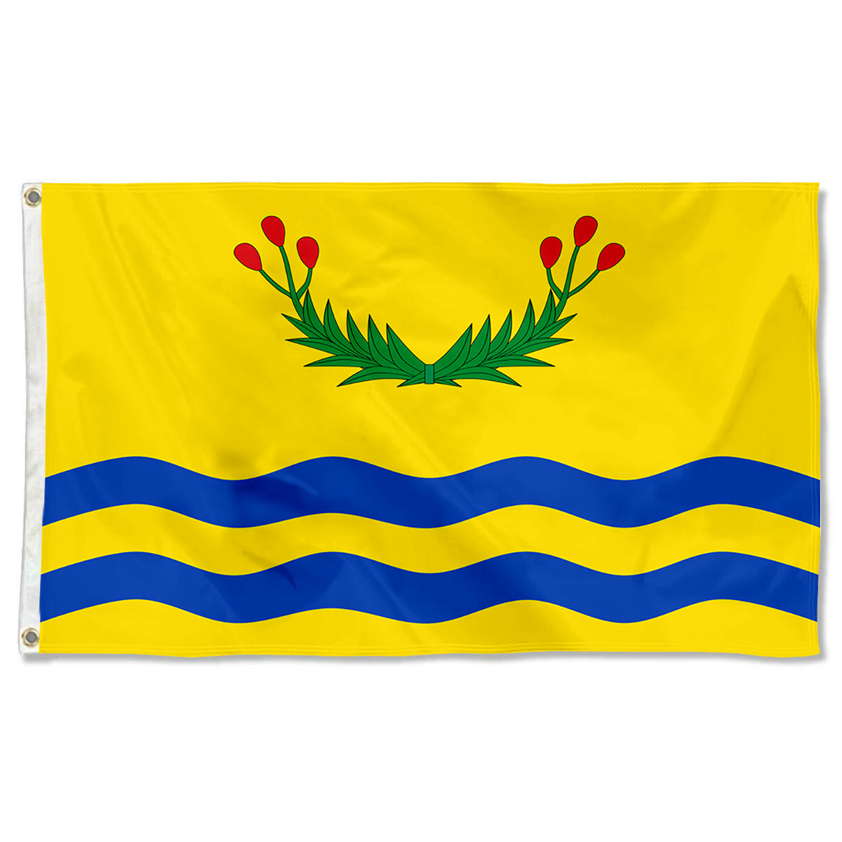 Fyon Juncos, Puerto Rico Flag Banner