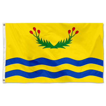 Fyon Juncos, Puerto Rico Flag Banner