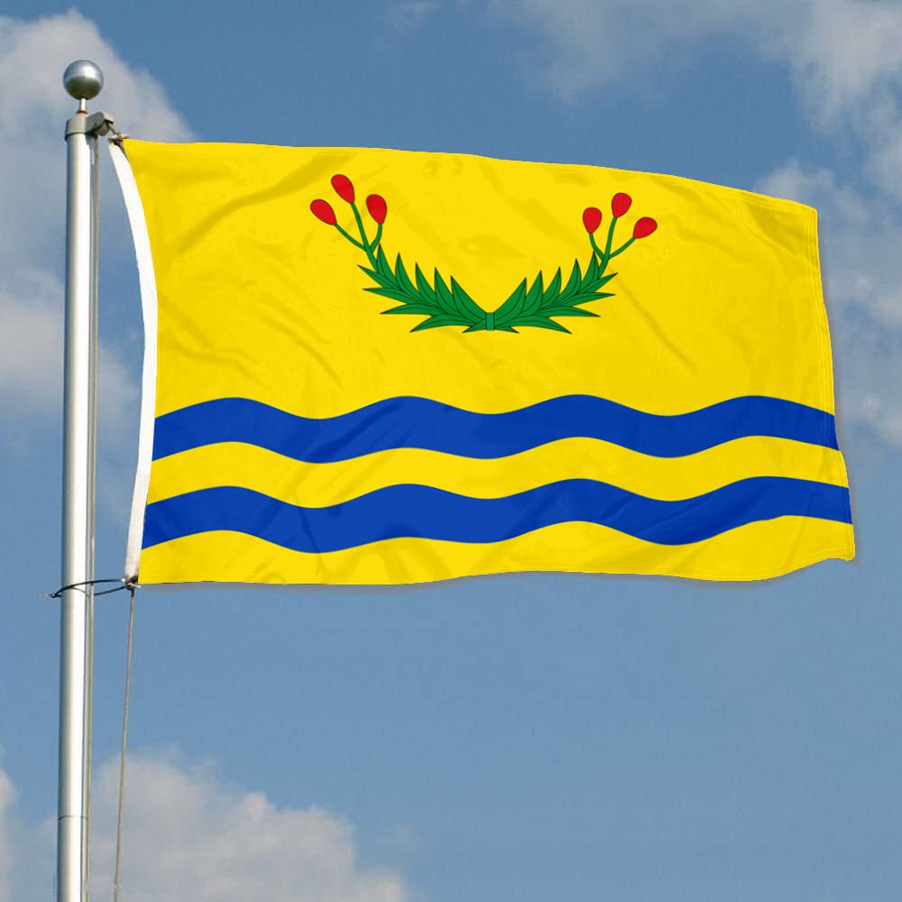 Fyon Juncos, Puerto Rico Flag Banner