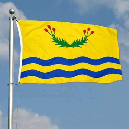 Fyon Juncos, Puerto Rico Flag Banner