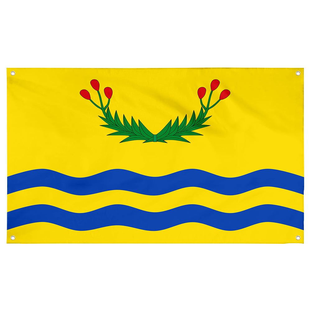 Fyon Juncos, Puerto Rico Flag Banner