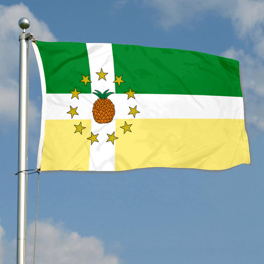 Fyon Lajas, Puerto Rico Flag Banner