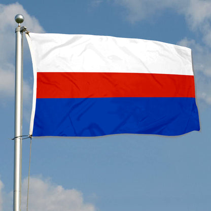 Fyon Manatí, Puerto Rico Flag Banner