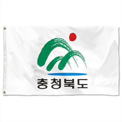 Fyon Double-sided North Chungcheong Province, South Korea Flag Banner