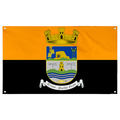 Fyon Official of Arroyo, Puerto Rico Flag Banner