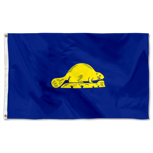 Fyon Oregon Flag Banner