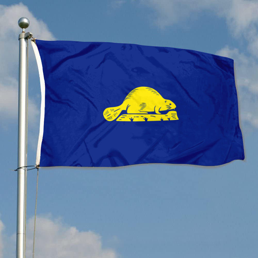 Fyon Oregon Flag Banner