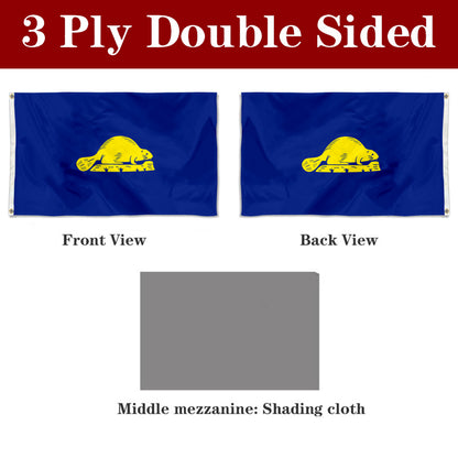 Fyon Oregon Flag Banner