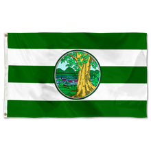 Fyon Double-sided Phichit Province, Thailand Flag Banner