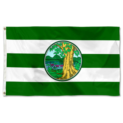 Fyon Double-sided Phichit Province, Thailand Flag Banner