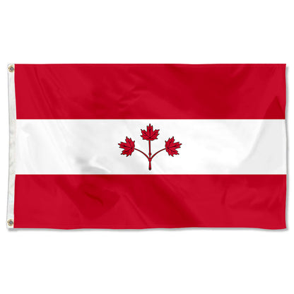 Fyon Proposal for Canada by George Stanley - Option B (1964)  Flag Banner