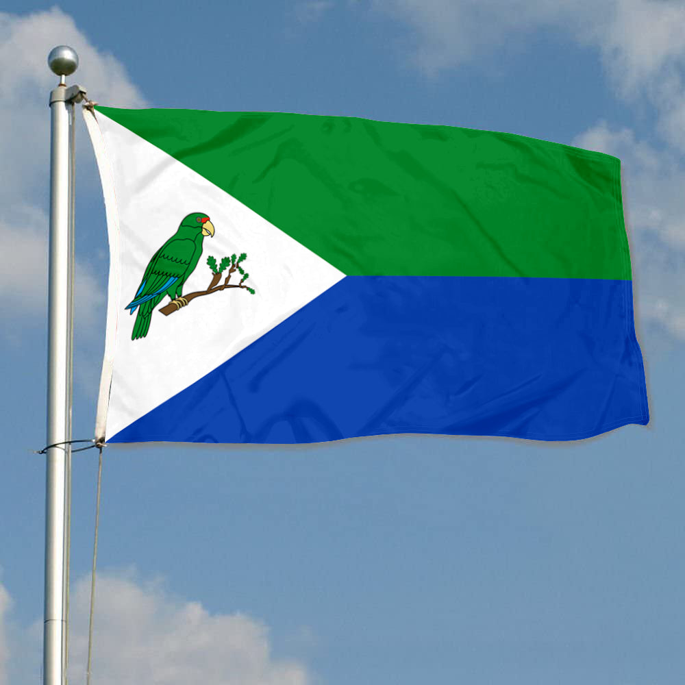 Fyon Rio Grande, Puerto Rico Flag Banner