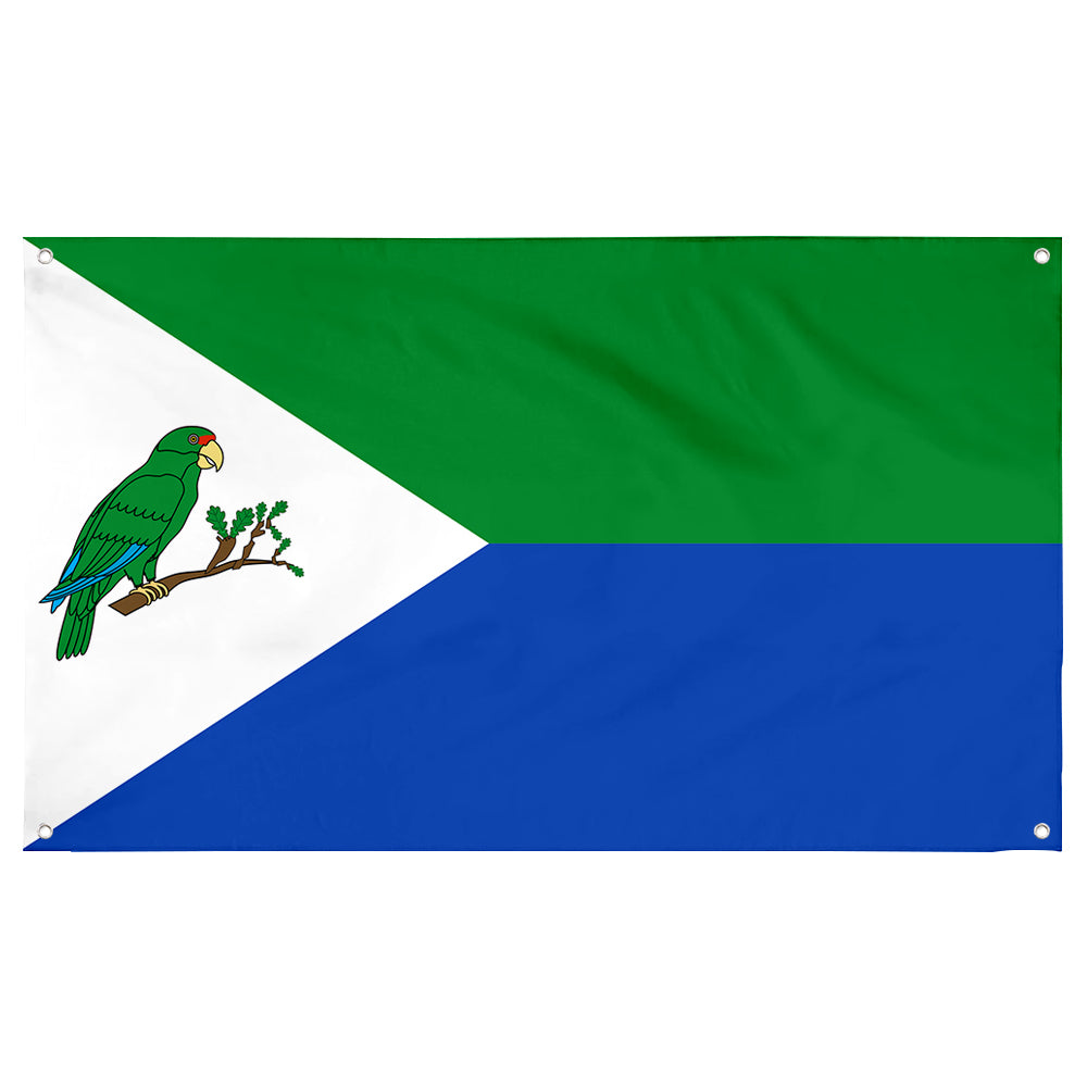 Fyon Rio Grande, Puerto Rico Flag Banner