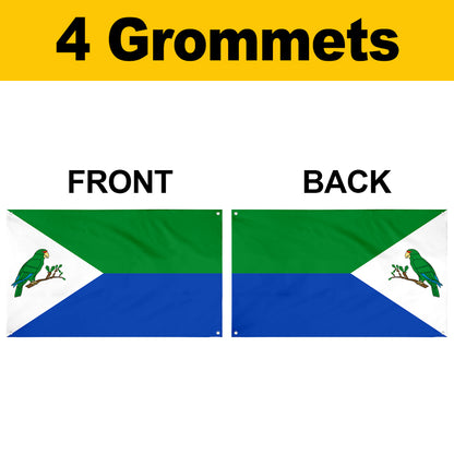 Fyon Rio Grande, Puerto Rico Flag Banner