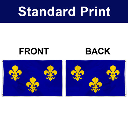 Fyon Royal of France Flag Banner