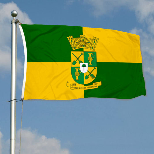 Fyon Sabana Grande, Puerto Rico Flag Banner