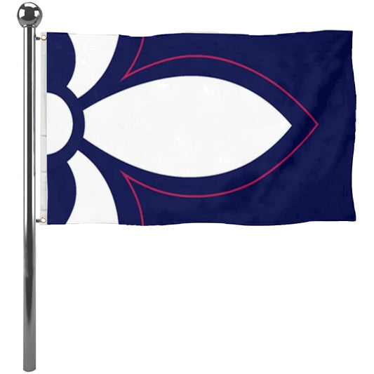 Fyon Saint Louis County Flag Banner