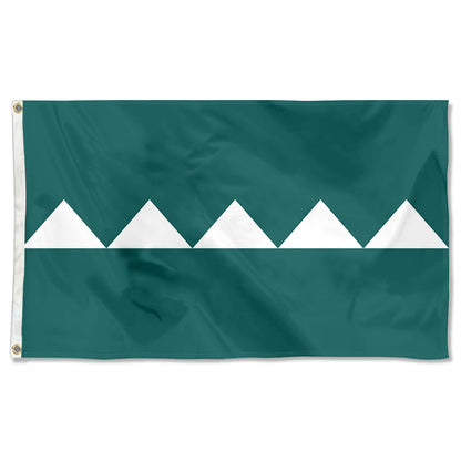 Fyon Salinas, Puerto Rico Flag Banner