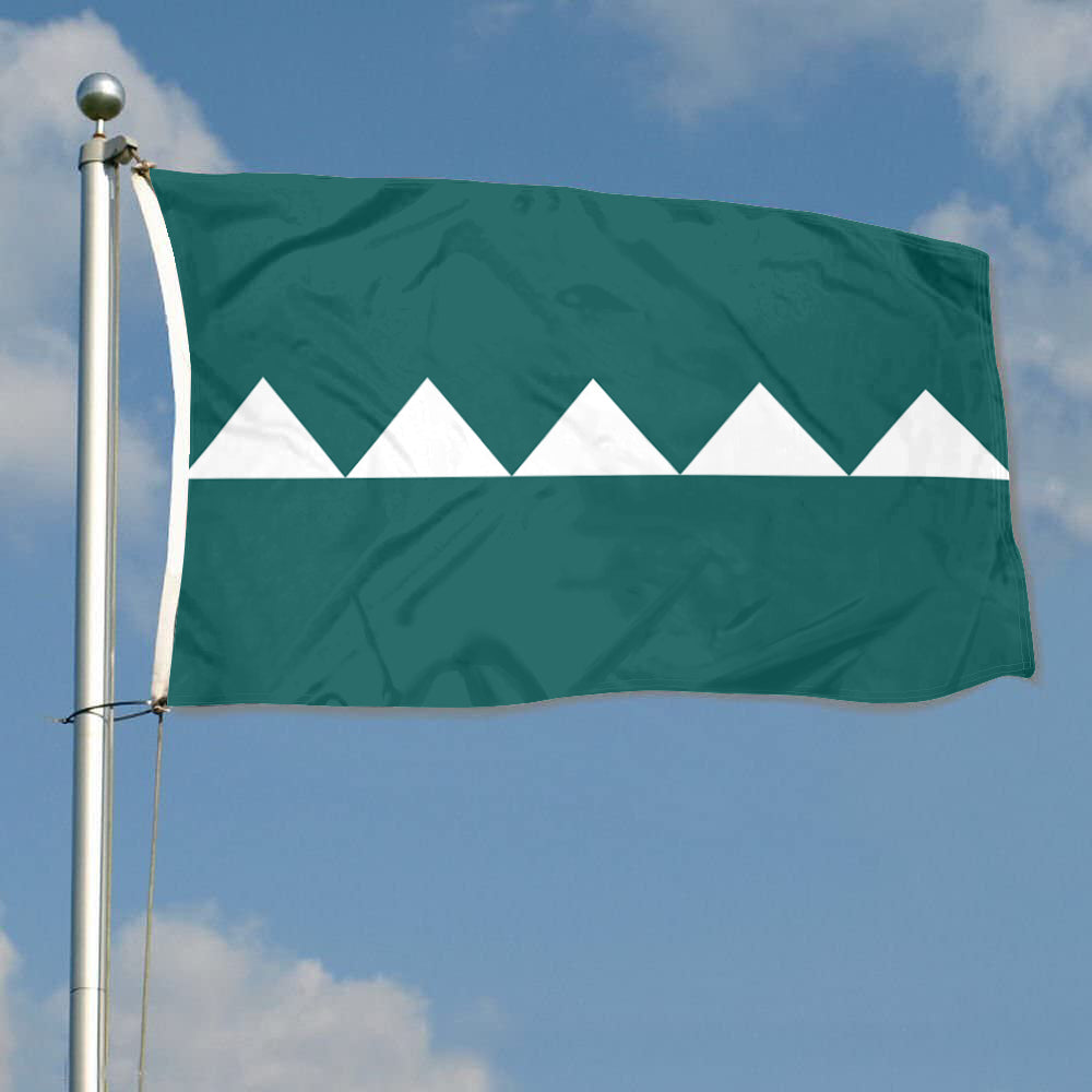 Fyon Salinas, Puerto Rico Flag Banner