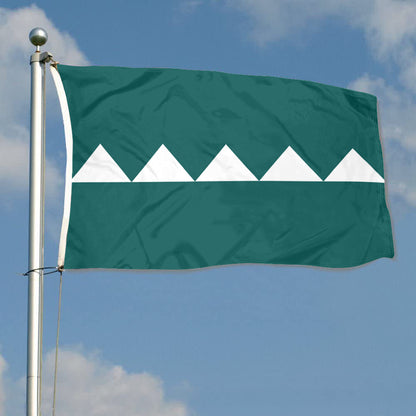 Fyon Salinas, Puerto Rico Flag Banner