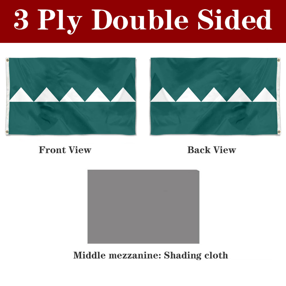 Fyon Salinas, Puerto Rico Flag Banner