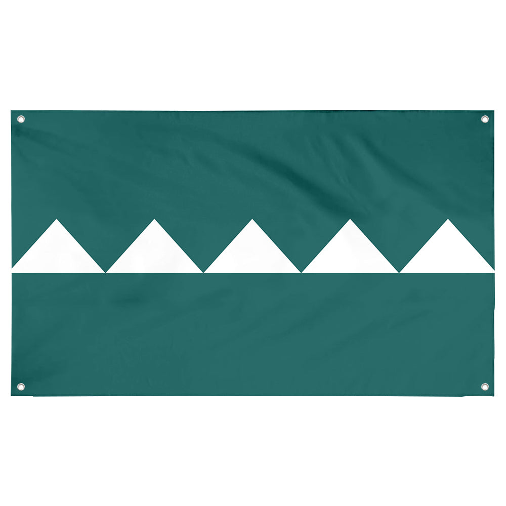 Fyon Salinas, Puerto Rico Flag Banner