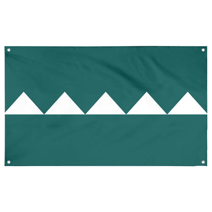 Fyon Salinas, Puerto Rico Flag Banner