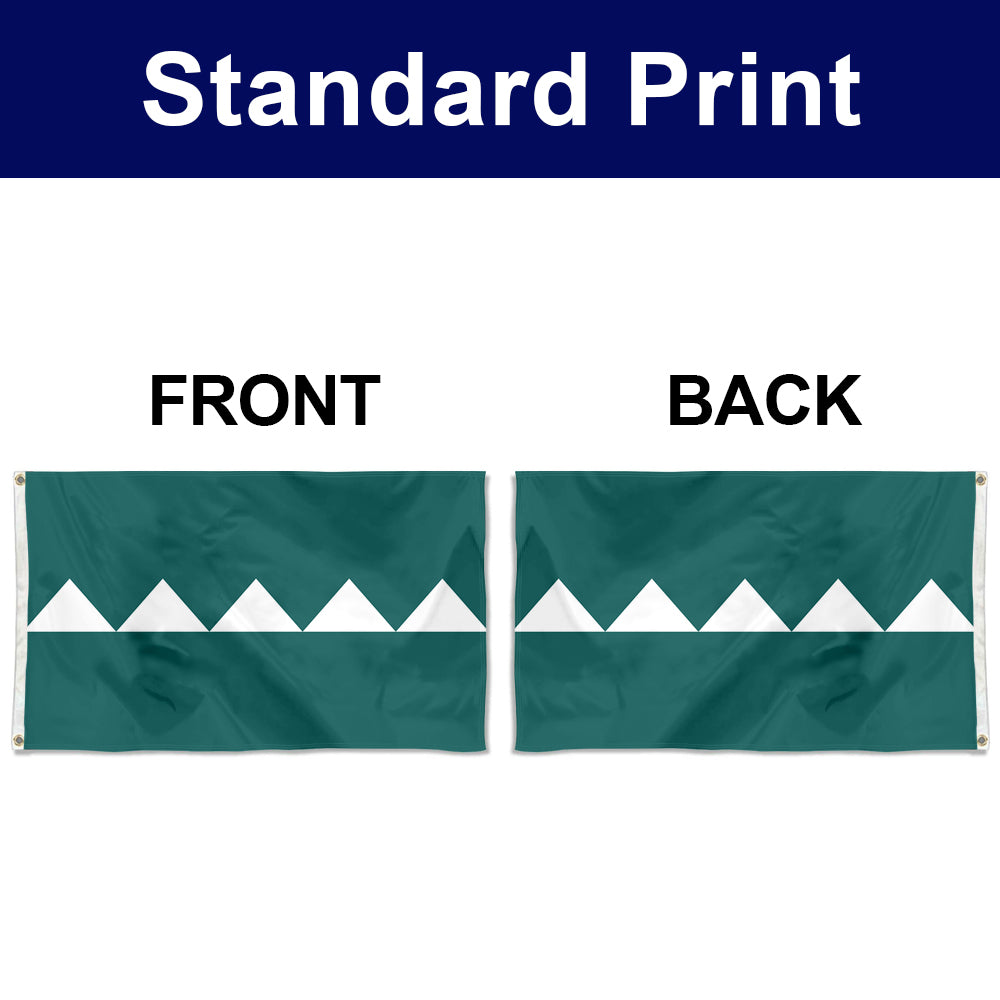 Fyon Salinas, Puerto Rico Flag Banner