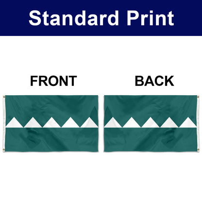 Fyon Salinas, Puerto Rico Flag Banner