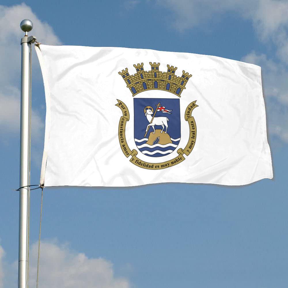 Fyon San Juan, Puerto Rico Flag Banner