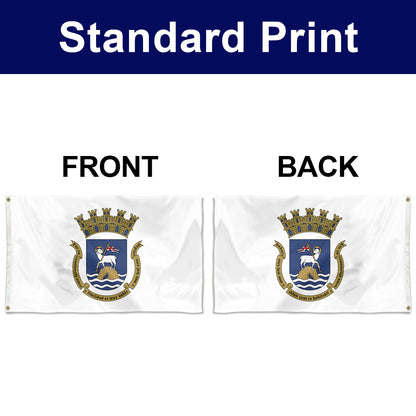 Fyon San Juan, Puerto Rico Flag Banner