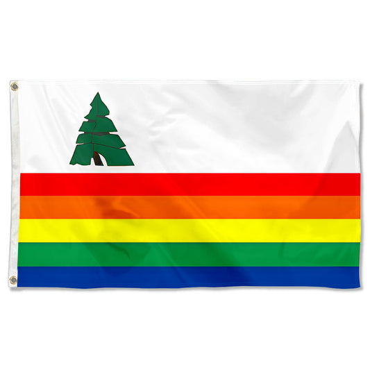 Fyon Santa Cruz County, California Flag Banner