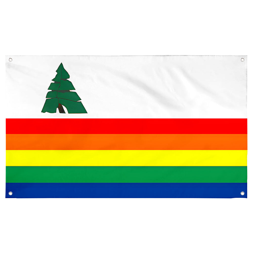 Fyon Santa Cruz County, California Flag Banner