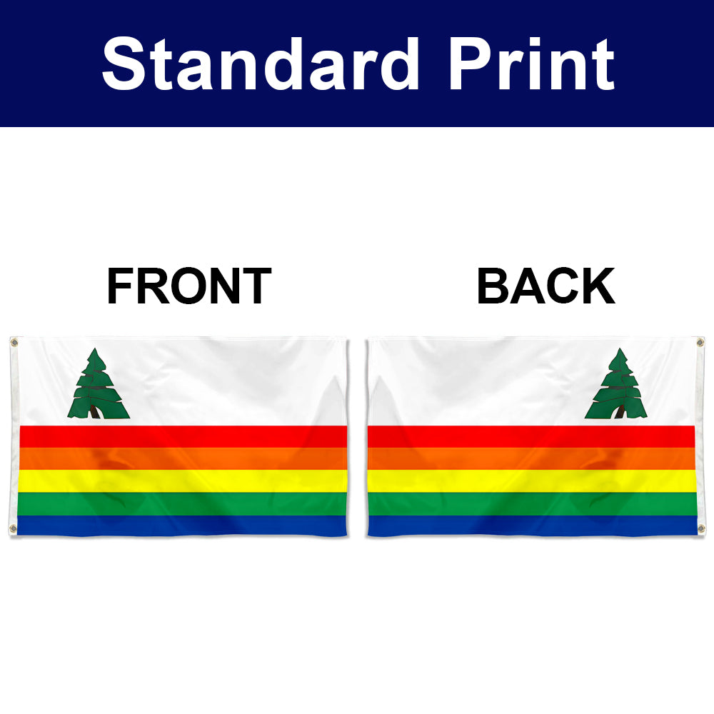 Fyon Santa Cruz County, California Flag Banner