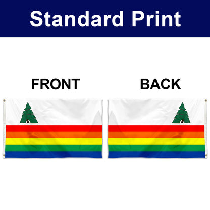 Fyon Santa Cruz County, California Flag Banner
