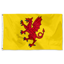 Fyon Double-sided Somerset Flag Yellow Background England English County Flags Banner