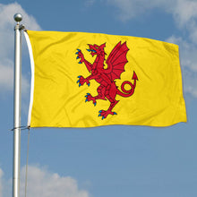 Fyon Double-sided Somerset Flag Yellow Background England English County Flags Banner