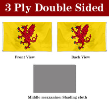 Fyon Double-sided Somerset Flag Yellow Background England English County Flags Banner