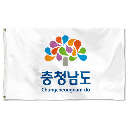 Fyon Double-sided South Chungcheong Province, South Korea Flag Banner