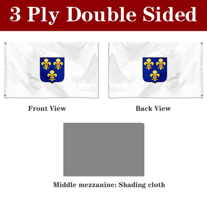 Fyon The Compagnie des Indes occidentales (1664) Flag Banner