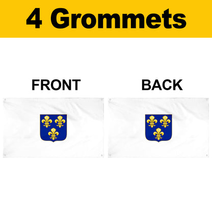 Fyon The Compagnie des Indes occidentales (1664) Flag Banner