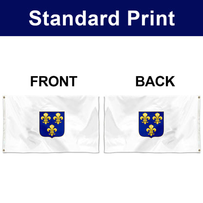 Fyon The Compagnie des Indes occidentales (1664) Flag Banner