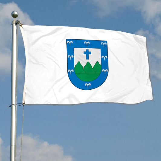 Fyon Trujillo Alto, Puerto Rico Flag Banner