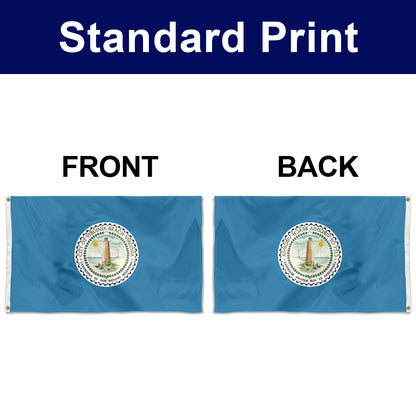 Fyon Virginia banner City of Virginia Beach Flag