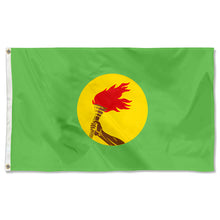 Fyon Double-sided Zaire(1971-1997) Flag Banner