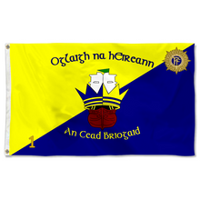 Fyon 1st Brigade of Defense Forces Ireland flag Indoor and outdoor banner