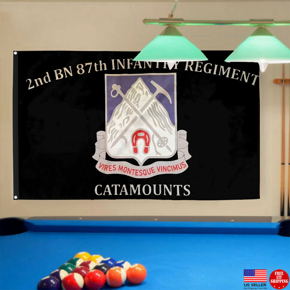 Fyon 87th IN. Custom Guidon Flag  Indoor and outdoor banner