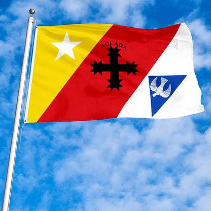 Fyon Aguada, Puerto Rico flag banner