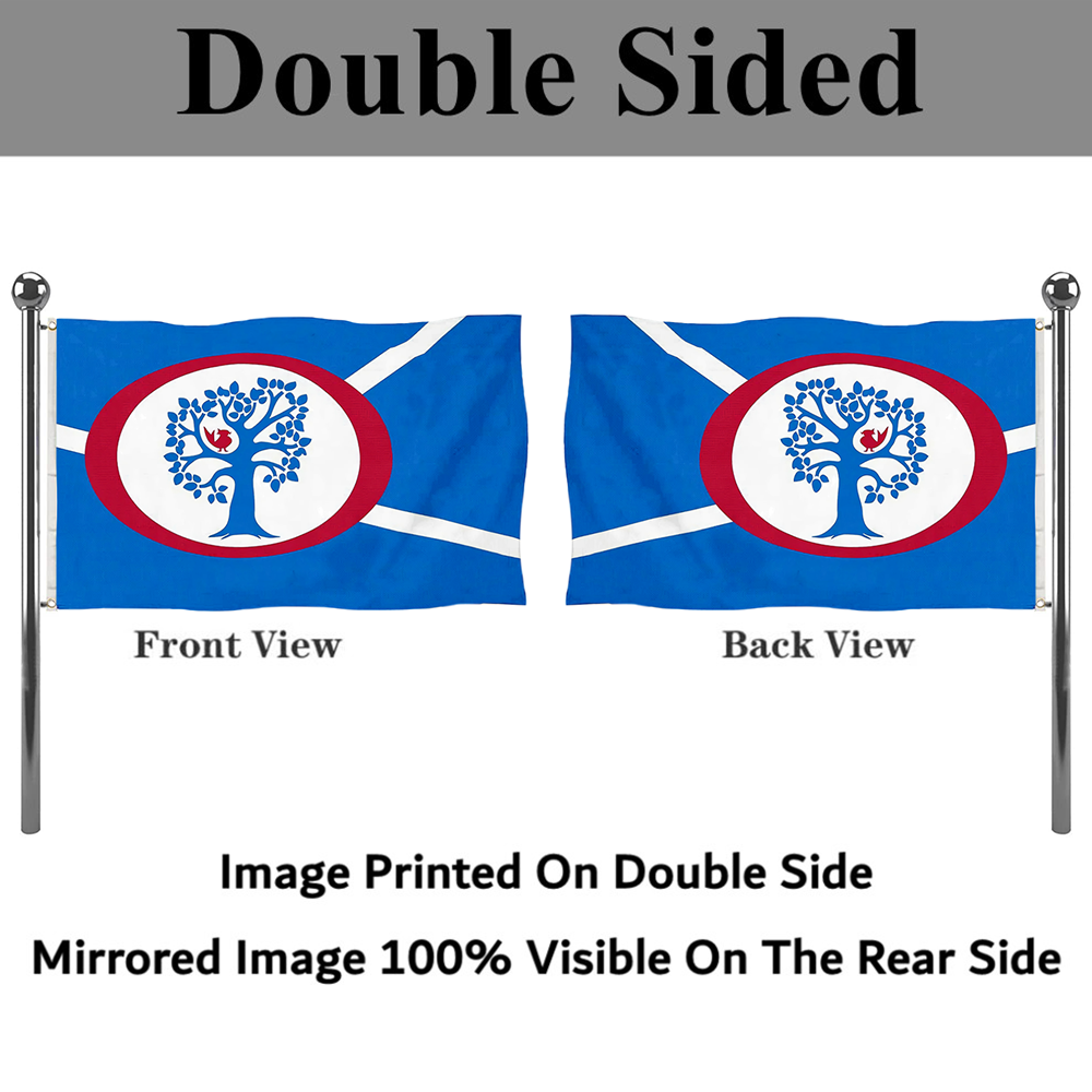 Fyon Annandale, Texas Flag Banner