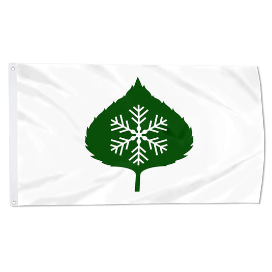 Fyon Aspen, Colorado Flag Indoor and Outdoor Banner